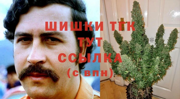тгк Алзамай