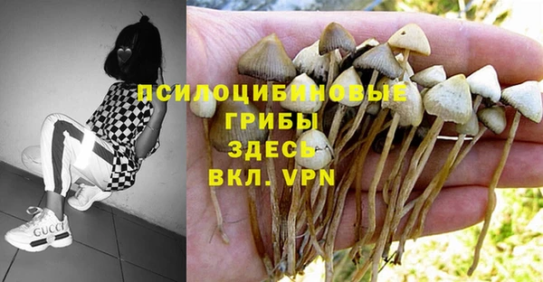 тгк Алзамай