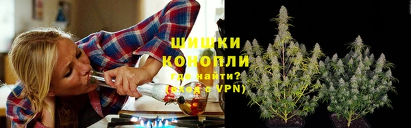 spice Алексин