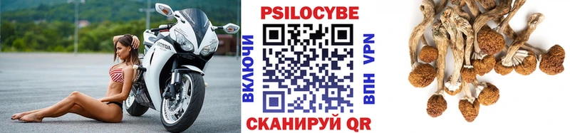 Галлюциногенные грибы мухоморы  где купить наркотик  KRAKEN онион  Лахденпохья 